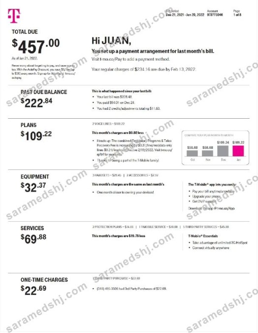 NETHERLANDS T-MOBILE utility bill Word and PDF template